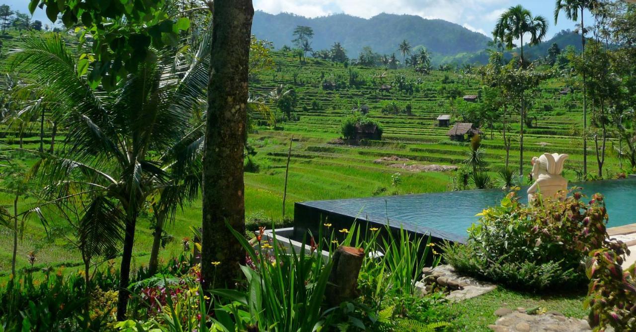 Guest house Surya Shanti Sidemen